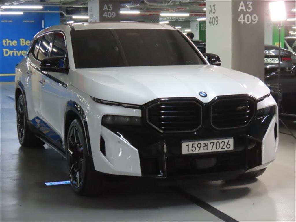 BMW XM XM (G09) 4.4 이미지 2