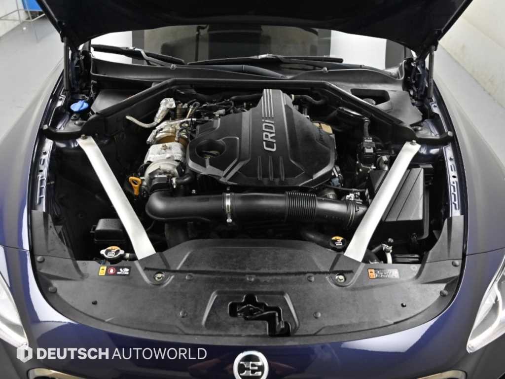 기아 스팅어 디젤 2.2 AWD 플래티넘 이미지 6