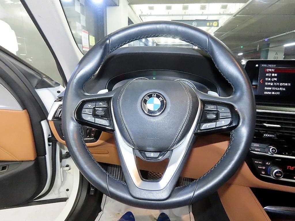 BMW 5시리즈 5시리즈 (G30) 520d M 스포츠 플러스 이미지 8