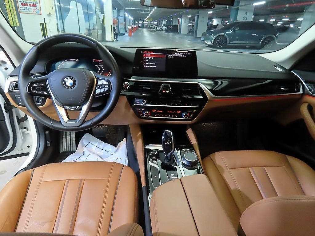 BMW 5시리즈 5시리즈 (G30) 520i 럭셔리 이미지 10