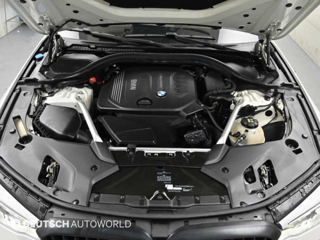BMW 5시리즈 5시리즈 (G30) 520d M 스포츠 플러스 이미지 6