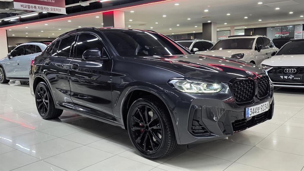BMW X4 X4 (G02) xDrive 20i M 스포츠 프로 이미지 10