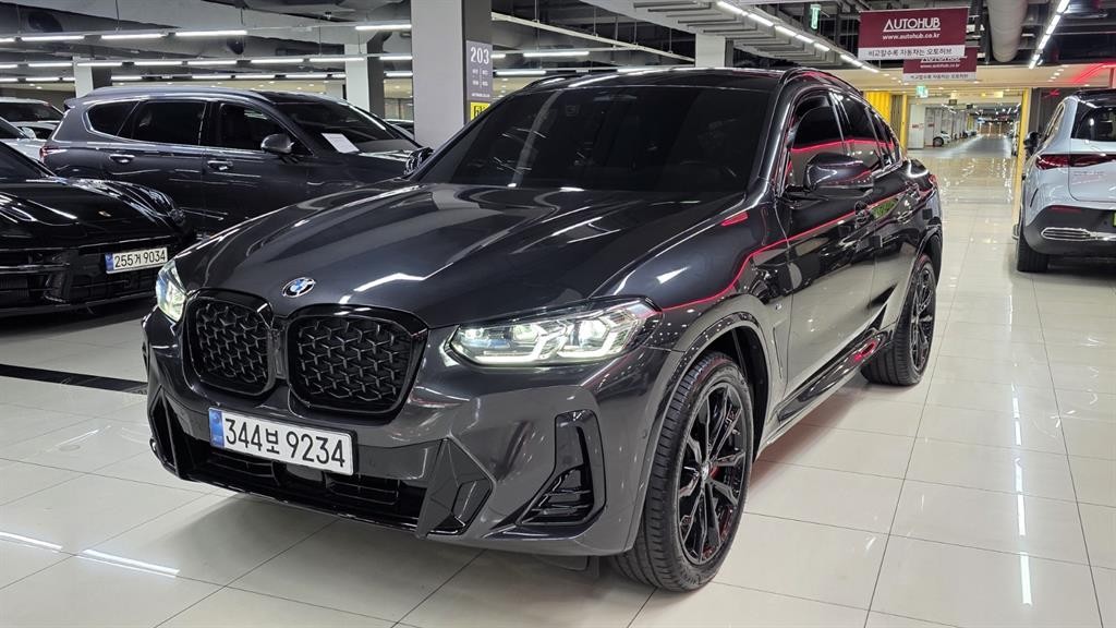 BMW X4 X4 (G02) xDrive 20i M 스포츠 프로 이미지 16