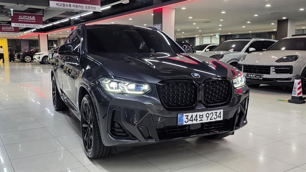BMW X4 X4 (G02) xDrive 20i M 스포츠 프로 이미지 19