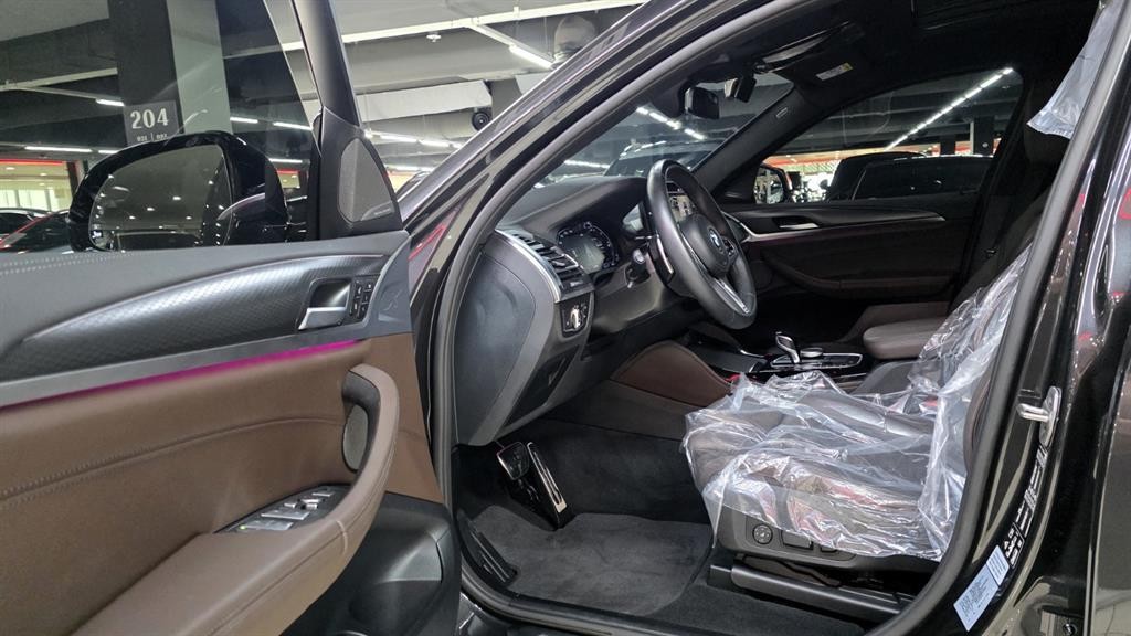BMW X4 X4 (G02) xDrive 20i M 스포츠 프로 이미지 9