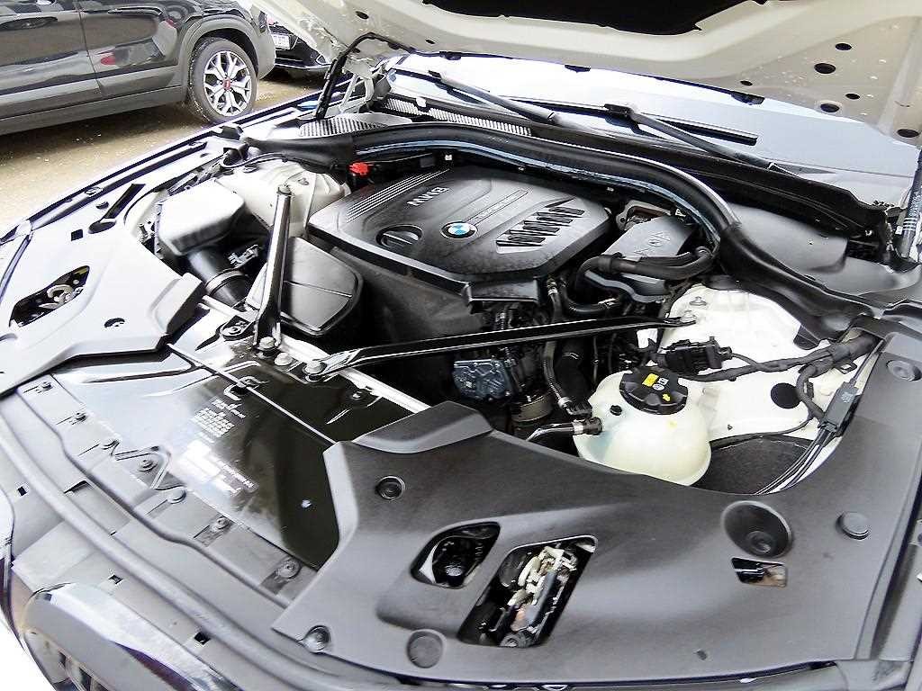 BMW 5시리즈 5시리즈 (G30) 520d M 스포츠 스페셜 에디션 이미지 18