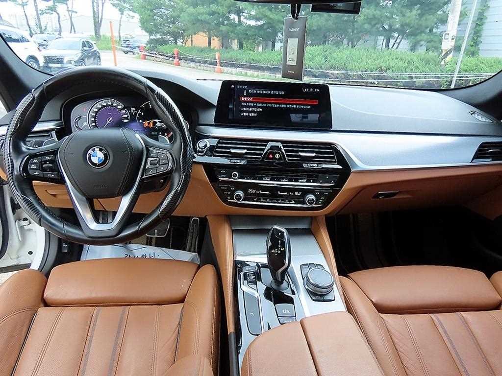 BMW 5시리즈 5시리즈 (G30) 520d M 스포츠 스페셜 에디션 이미지 7