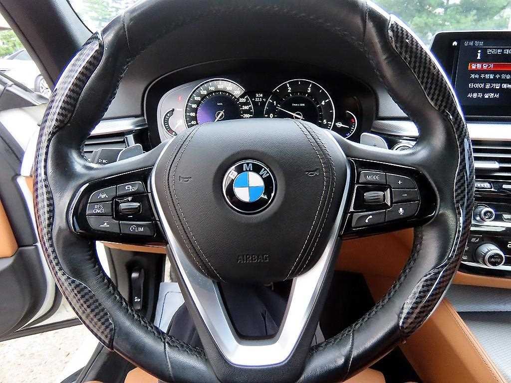 BMW 5시리즈 5시리즈 (G30) 520d M 스포츠 스페셜 에디션 이미지 8