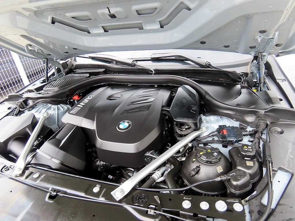 BMW 5시리즈 5시리즈 (G60) 530i xDrive M 스포츠 이미지 19