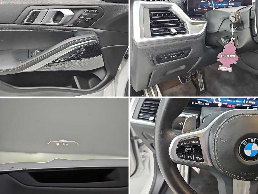 BMW X6 X6 (G06) xDrive 30d M 스포츠 이미지 18