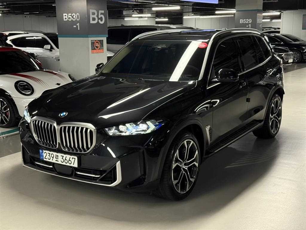 BMW X5 X5 (G05) xDrive 40i M 스포츠 이미지 2