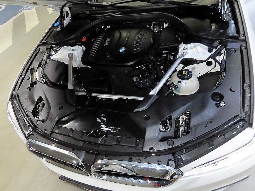 BMW 5시리즈 5시리즈 (G30) 520d xDrive M 스포츠 플러스 이미지 19