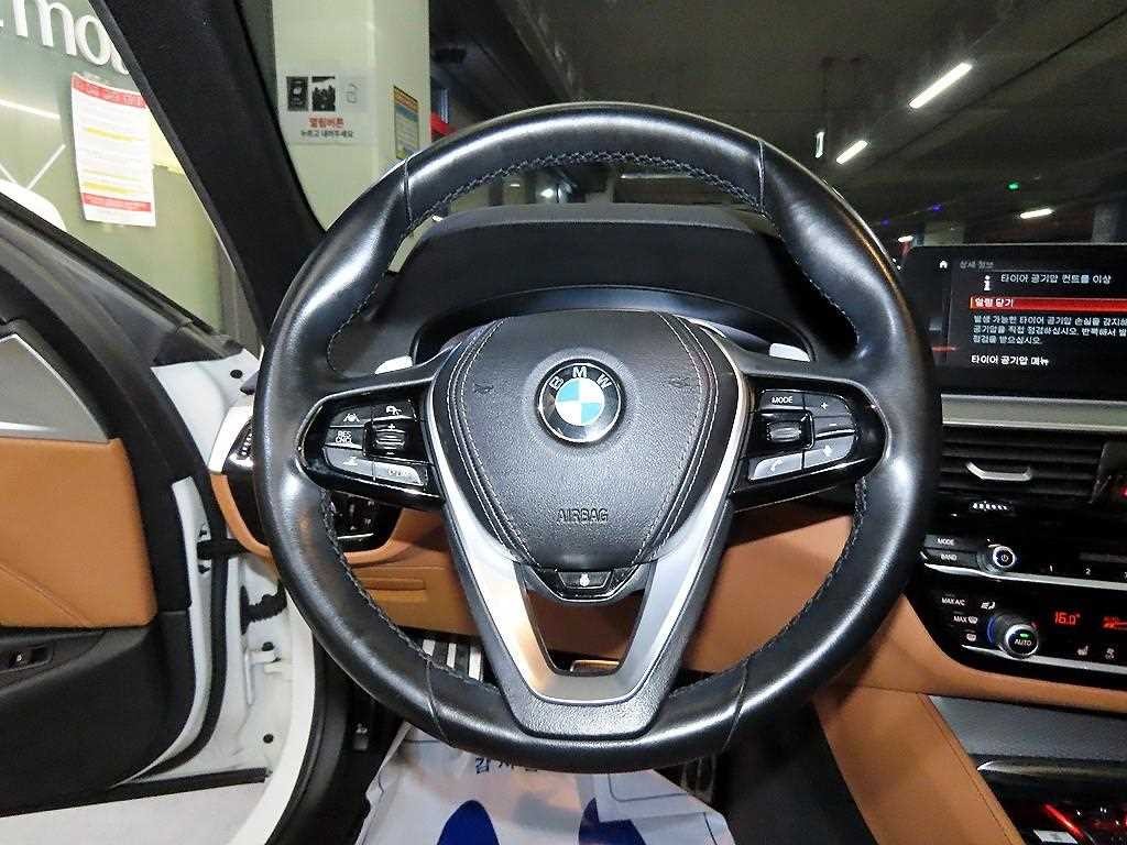 BMW 5시리즈 5시리즈 (G30) 520d xDrive M 스포츠 플러스 이미지 8