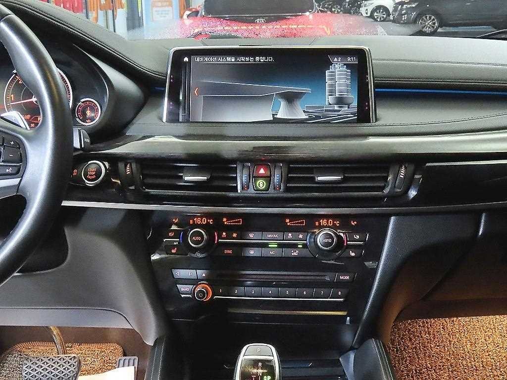 BMW X6 X6 (F16) xDrive 30d 이미지 11