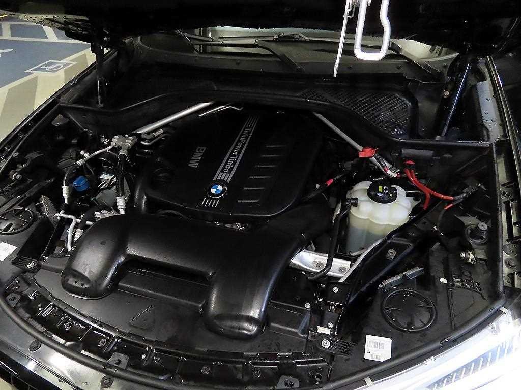 BMW X6 X6 (F16) xDrive 30d 이미지 19