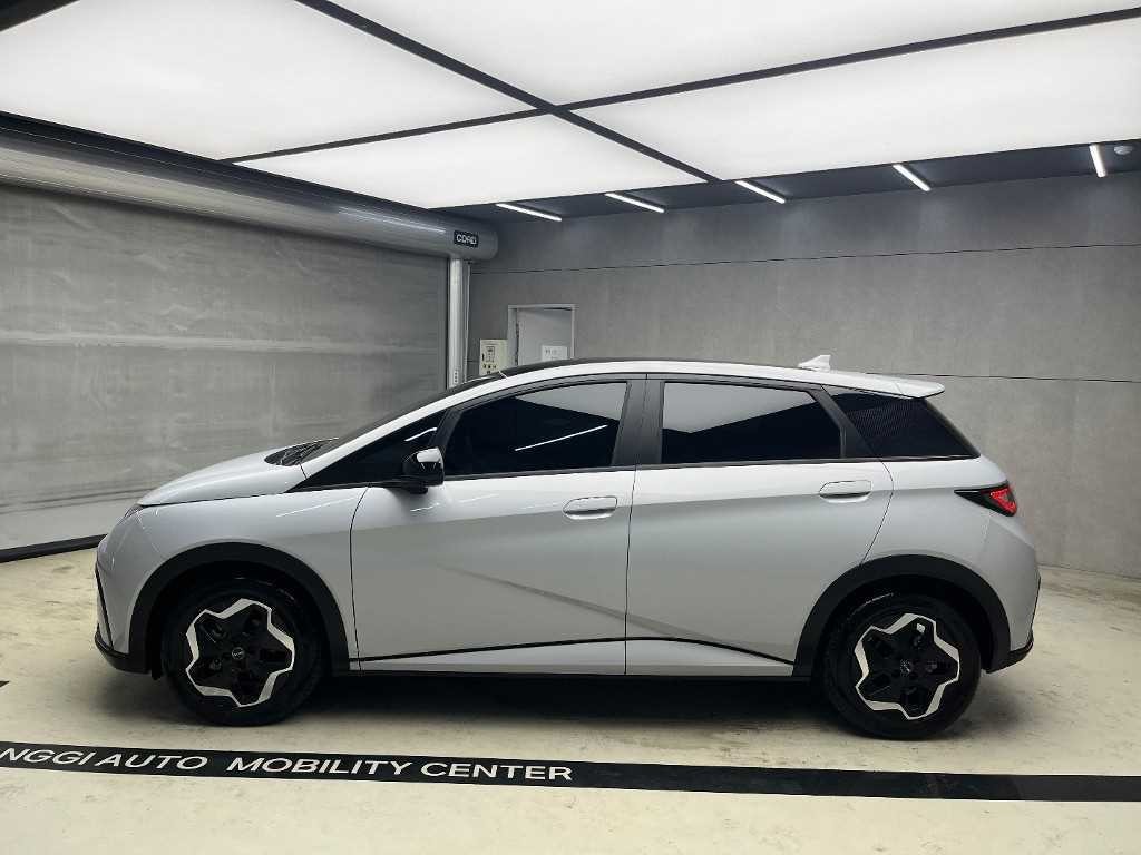 BYD 돌핀 베이스 이미지 4