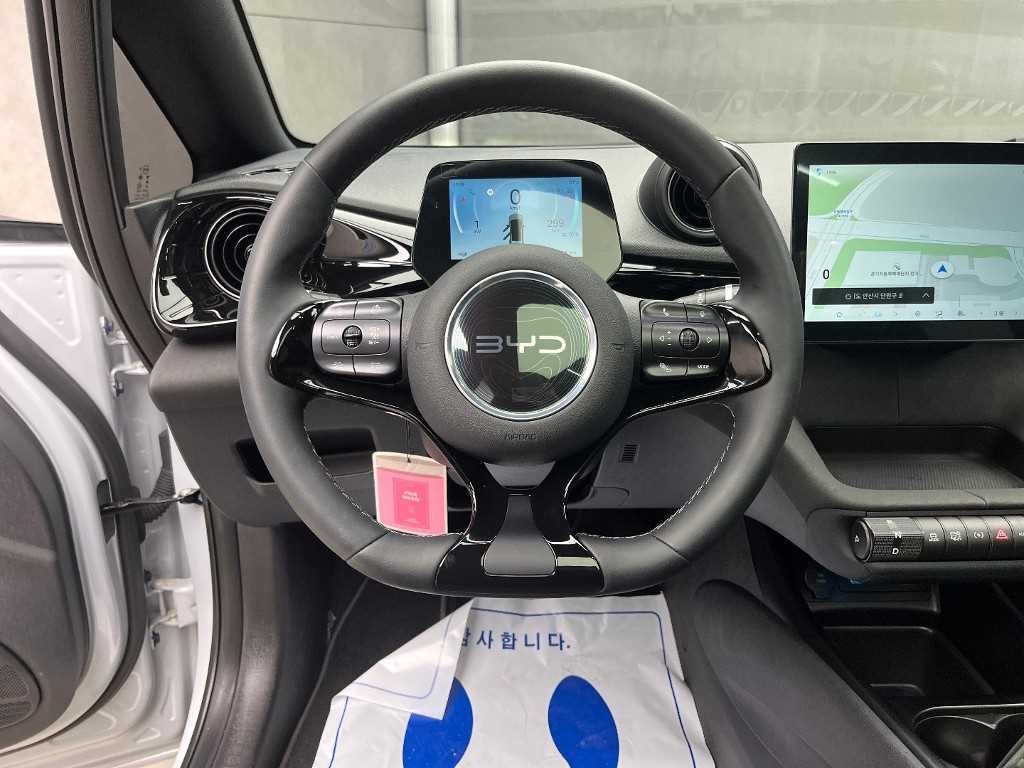 BYD 돌핀 베이스 이미지 9
