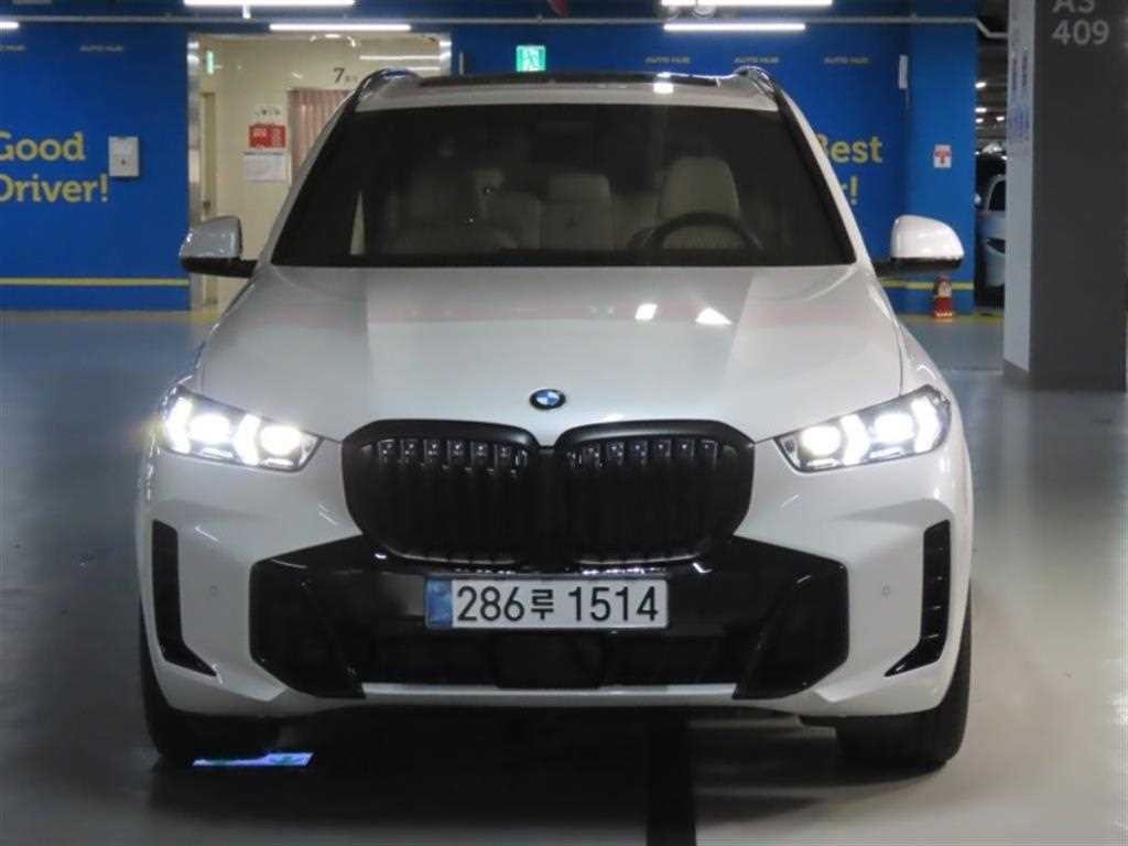 BMW X5 X5 (G05) xDrive 40i M 스포츠 이미지 1