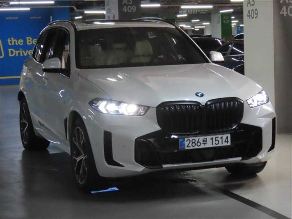 BMW X5 X5 (G05) xDrive 40i M 스포츠 이미지 2