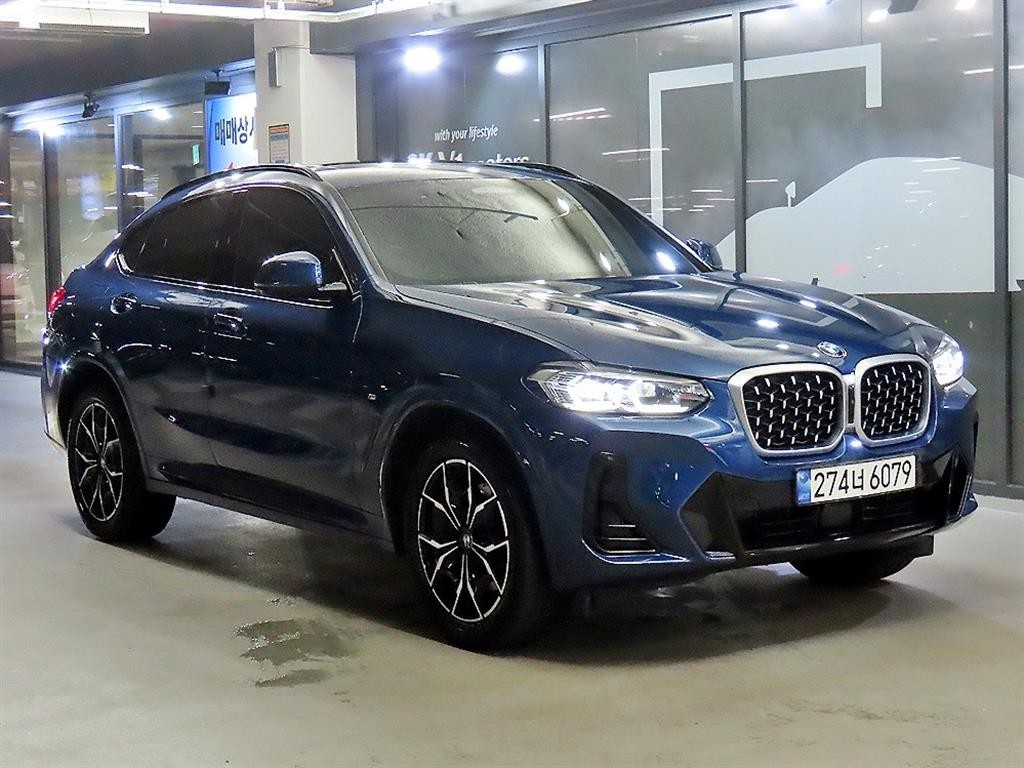 BMW X4 X4 (G02) xDrive 20i M 스포츠 이미지 1
