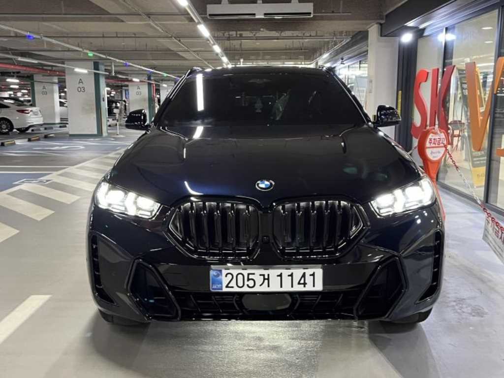 BMW X6 X6 (G06) xDrive 30d M 스포츠 이미지 2