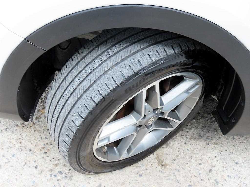 현대 맥스크루즈 더뉴맥스크루즈 E-VGT R2.2 2WD 익스클루시브 스페셜 이미지 20