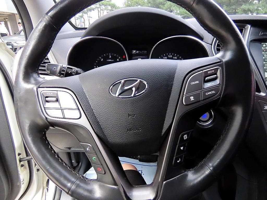 현대 맥스크루즈 더뉴맥스크루즈 E-VGT R2.2 2WD 익스클루시브 스페셜 이미지 8