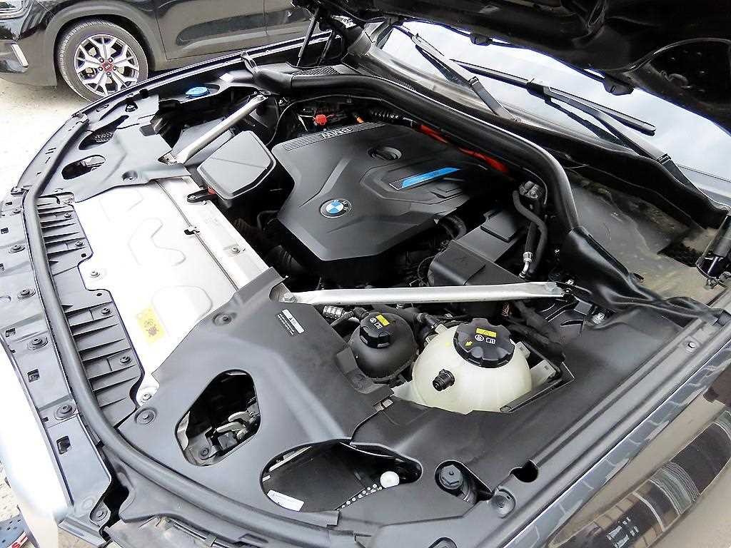 BMW X3 X3 (G01) xDrive 30e xLine 이미지 19