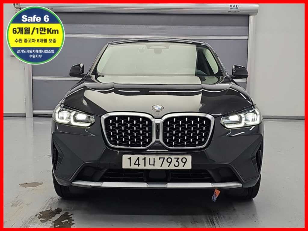 BMW X4 X4 (G02) xDrive 20i xLine 이미지 1