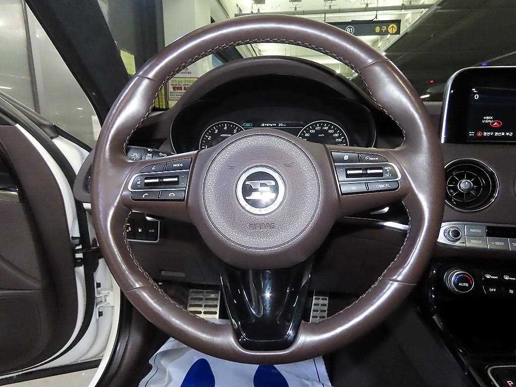 기아 스팅어 가솔린 2.0 터보 AWD 플래티넘 이미지 8