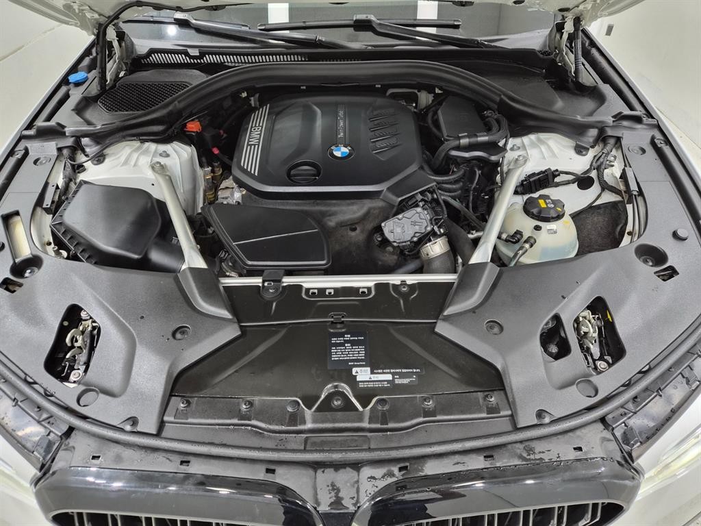BMW 5시리즈 5시리즈 (G30) 520d xDrive M 스포츠 플러스 이미지 18