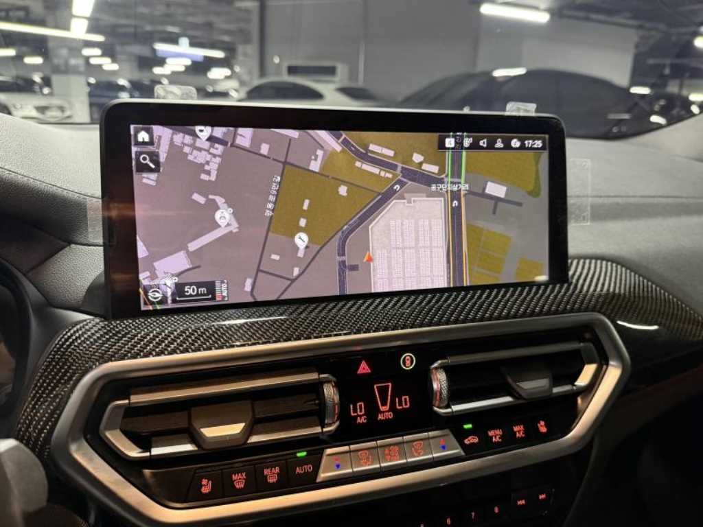 BMW X4 X4 (G02) xDrive 20i M 스포츠 프로 이미지 11