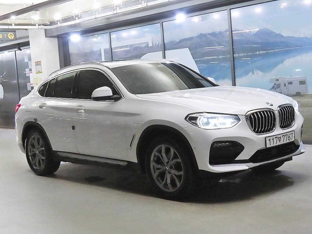BMW X4 X4 (G02) xDrive 20i xLine 이미지 1
