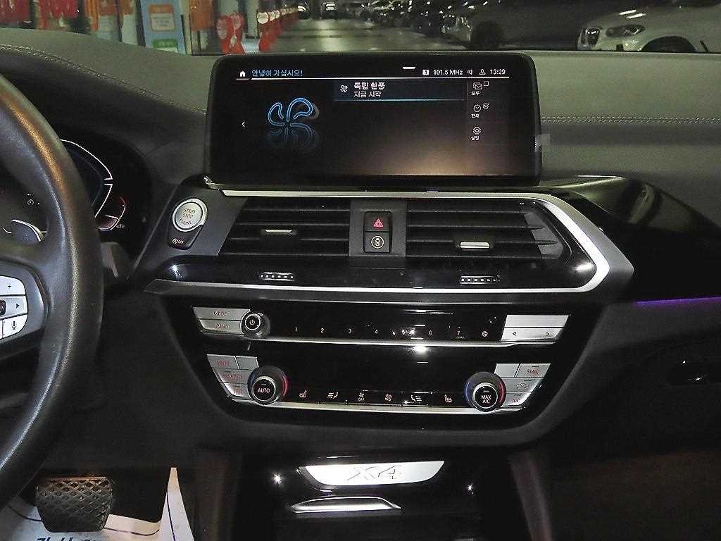 BMW X4 X4 (G02) xDrive 20i xLine 이미지 11