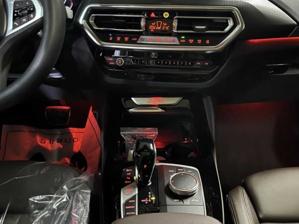 BMW X4 X4 (G02) xDrive 20d M 스포츠 기본형 이미지 8