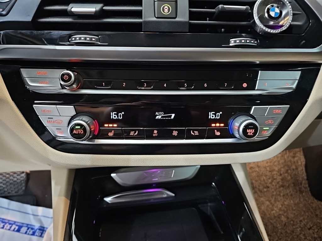BMW X3 X3 (G01) xDrive 20i 럭셔리 이미지 10