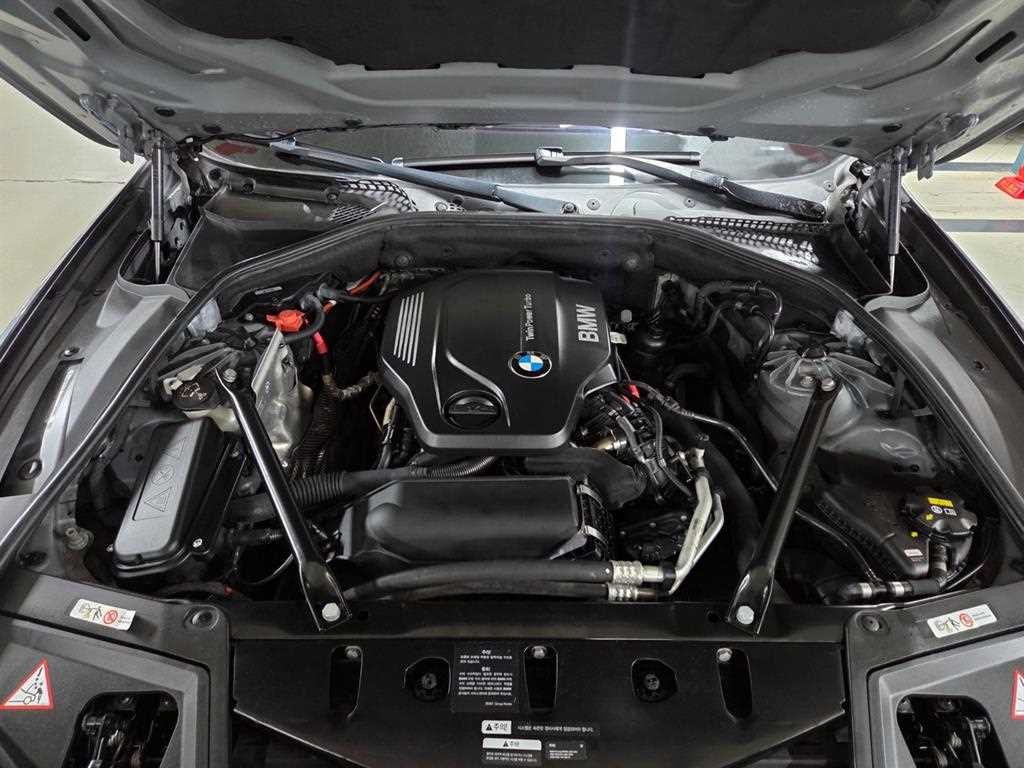 BMW 5시리즈 5시리즈 (F10) 520d 이미지 20