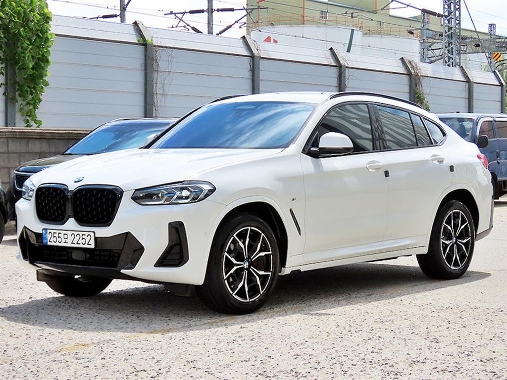BMW X4 X4 (G02) xDrive 20i M 스포츠 프로 이미지 2