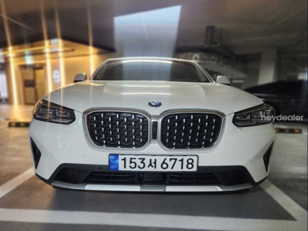 BMW X4 X4 (G02) xDrive 20i xLine 이미지 1