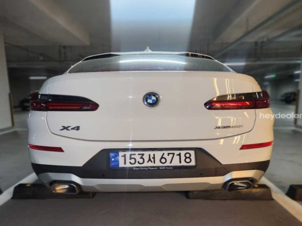 BMW X4 X4 (G02) xDrive 20i xLine 이미지 2