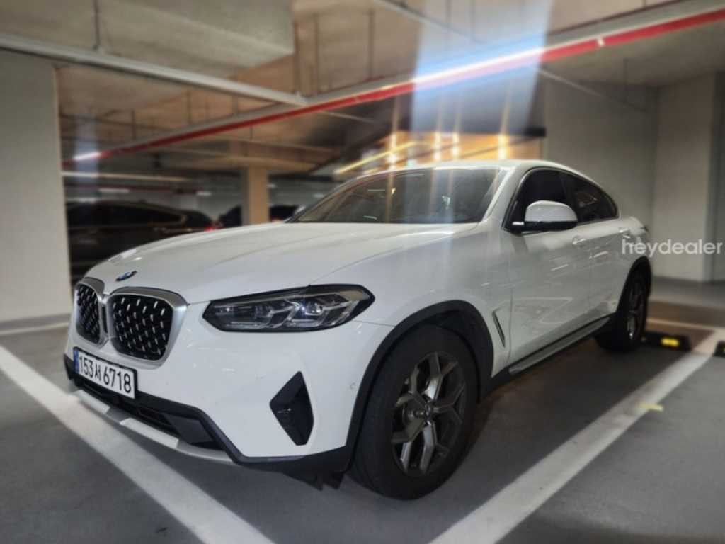 BMW X4 X4 (G02) xDrive 20i xLine 이미지 3