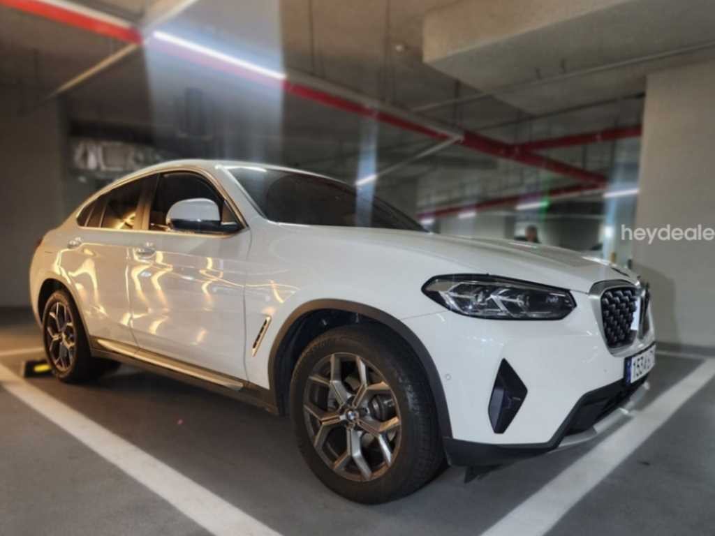 BMW X4 X4 (G02) xDrive 20i xLine 이미지 4
