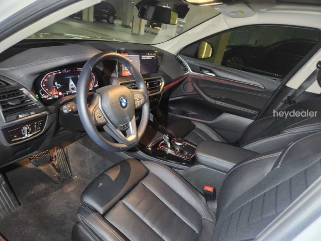 BMW X4 X4 (G02) xDrive 20i xLine 이미지 6