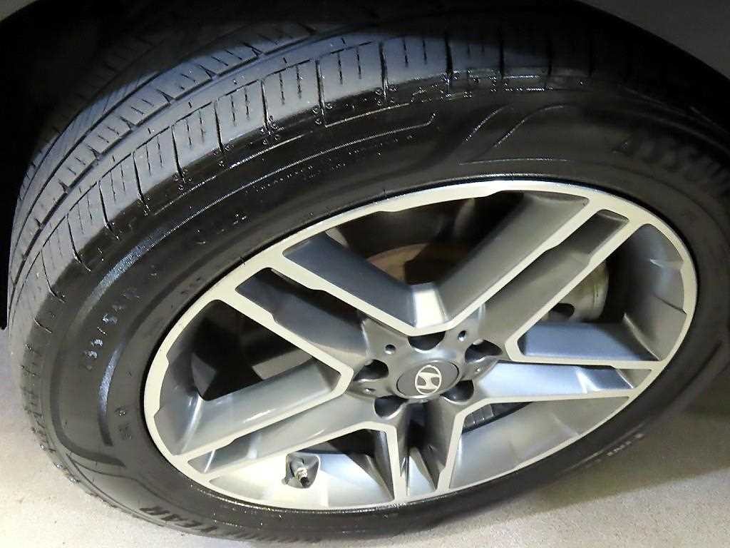 현대 맥스크루즈 더뉴맥스크루즈 E-VGT R2.2 2WD 익스클루시브 스페셜 이미지 20