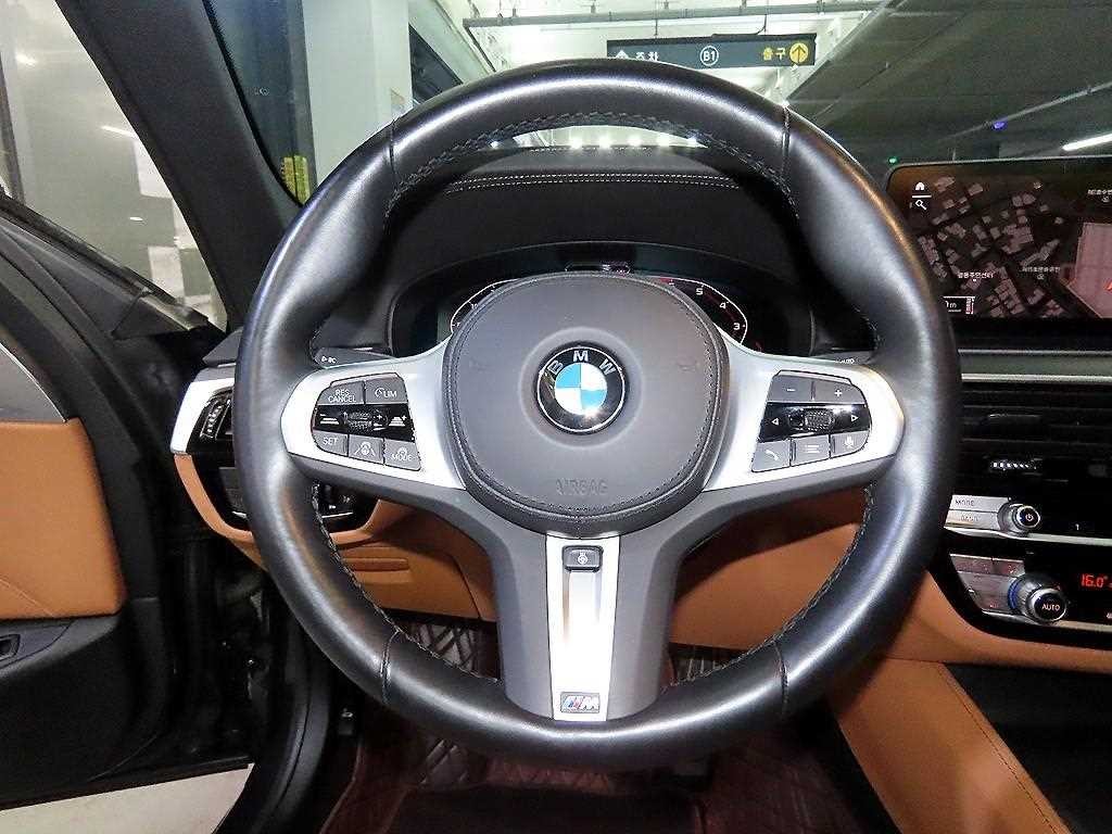 BMW 5시리즈 5시리즈 (G30) 520i M 스포츠 이미지 9