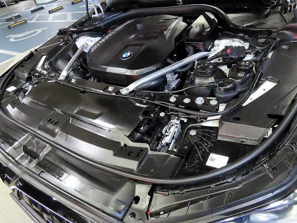 BMW 5시리즈 5시리즈 (G60) 550e xDrive M 스포츠 프로 이미지 19