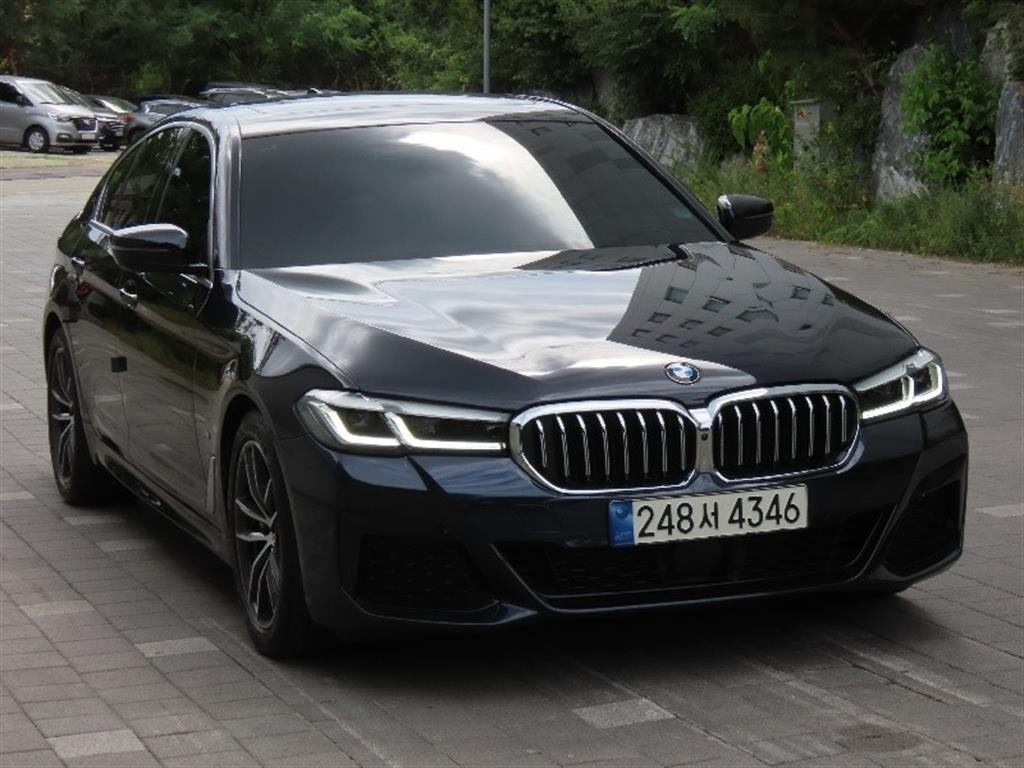 BMW 5시리즈 5시리즈 (G30) 520i M 스포츠 이미지 2