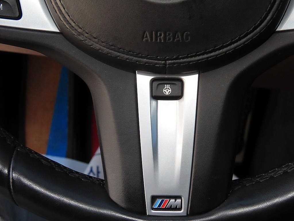 BMW 5시리즈 5시리즈 (G30) 530i 럭셔리 플러스 이미지 11