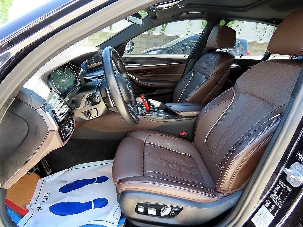 BMW 5시리즈 5시리즈 (G30) 530i 럭셔리 플러스 이미지 5