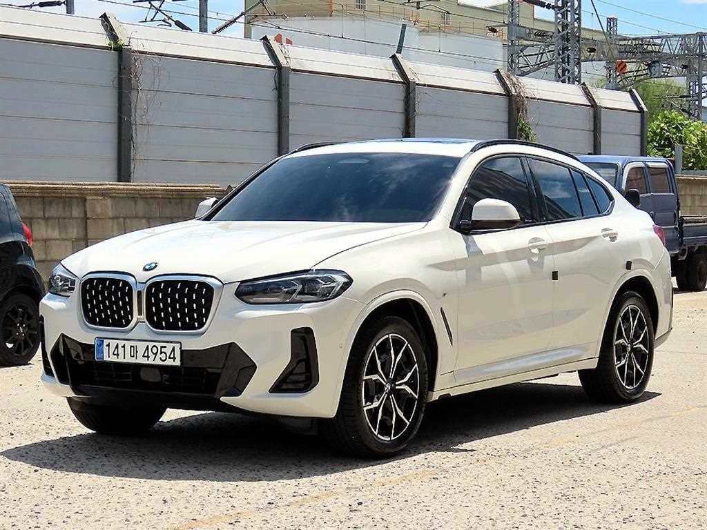 BMW X4 X4 (G02) xDrive 20i M 스포츠 이미지 2